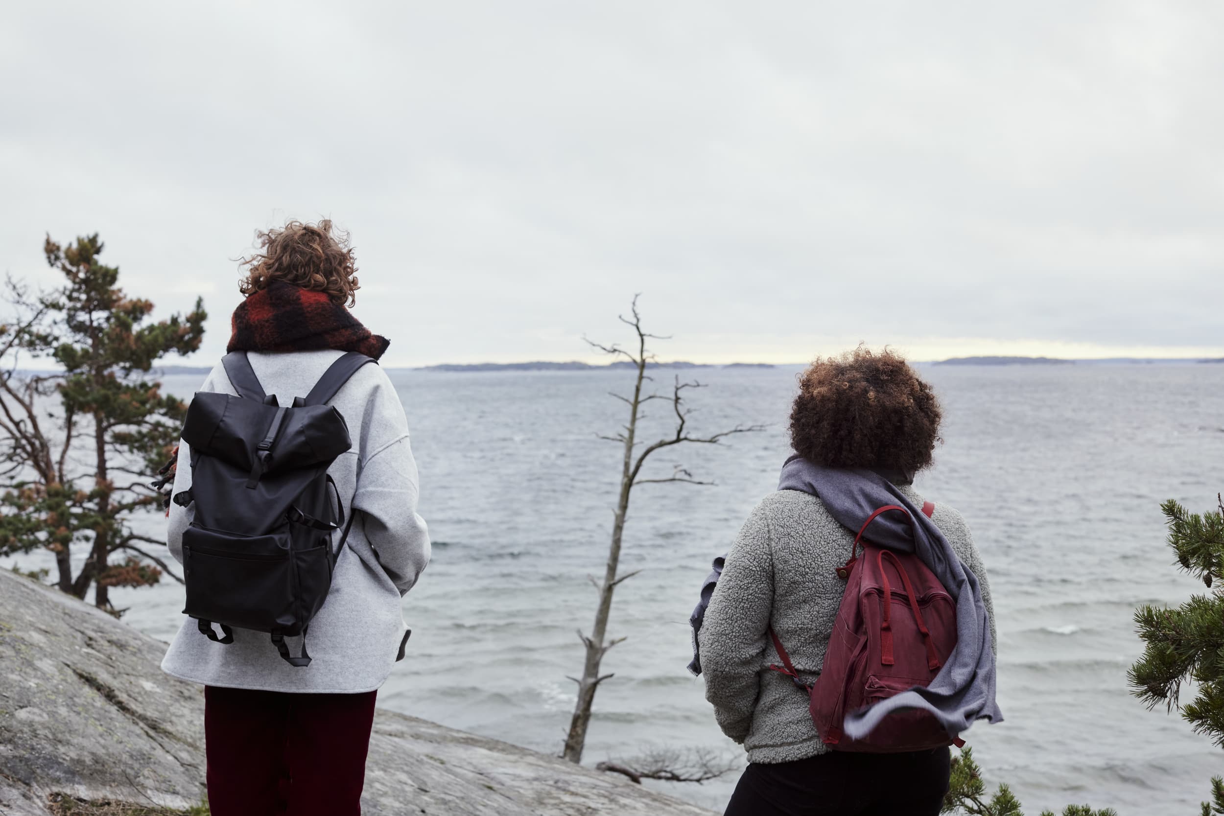 Vad säger experterna om höstens bostadsmarknad?